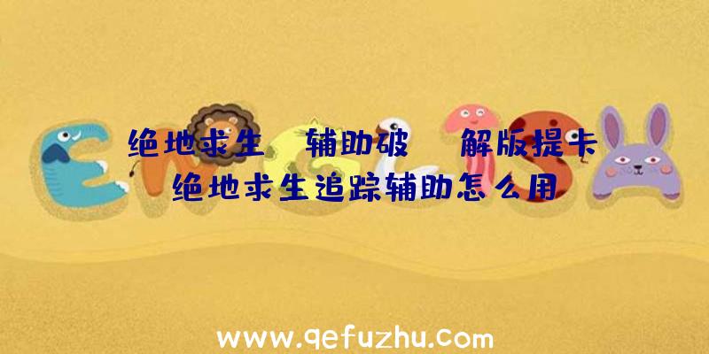 「绝地求生ez辅助破解版提卡」|绝地求生追踪辅助怎么用